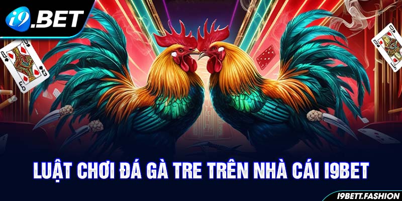 Luật đá gà tre trên nhà cái i9BET